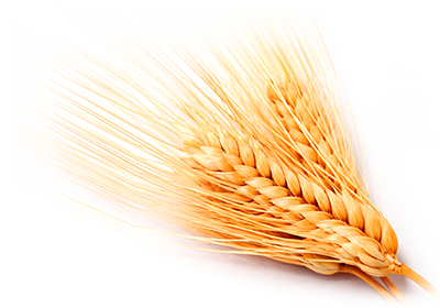 神人(rén)助集團